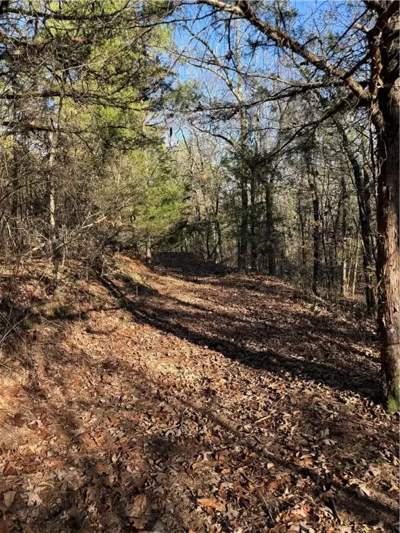 Nebo Acres Road, Dardanelle, AR 72834 - Image #2