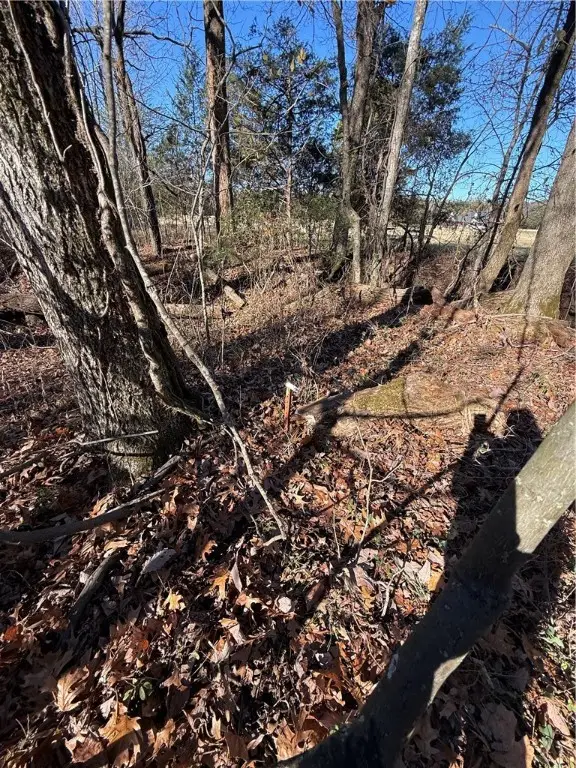 Nebo Acres Road, Dardanelle, AR 72834 - Image #2