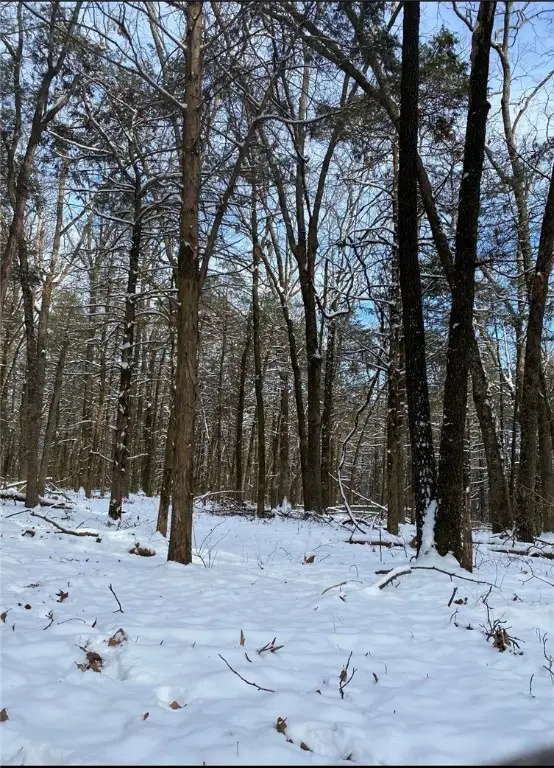 6327 Crow Mountain Road, Russellville, AR 72802