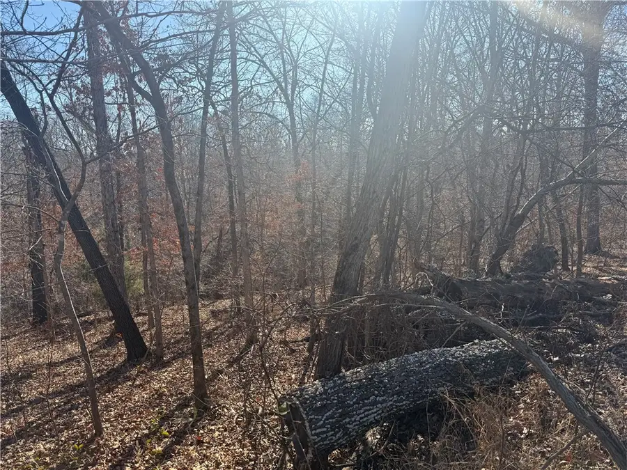 Halford Lane, Bella Vista, AR 72715 - Image #2