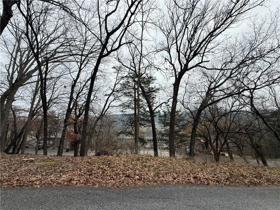 TBD Beaver Drive, Holiday Island, AR 72631 - Image #2