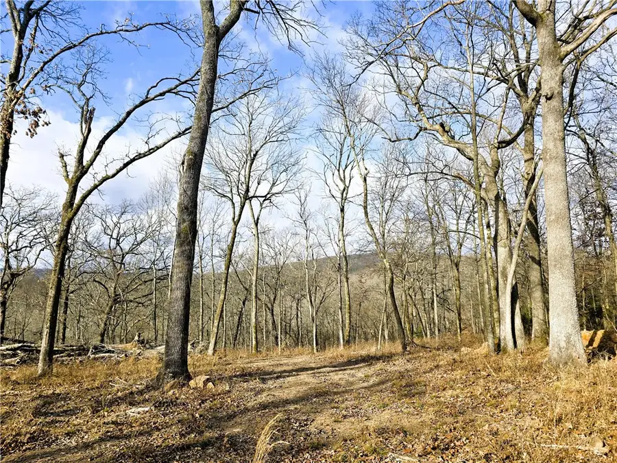 11546 Brubaker Road, West Fork, AR 72774 - Image #2