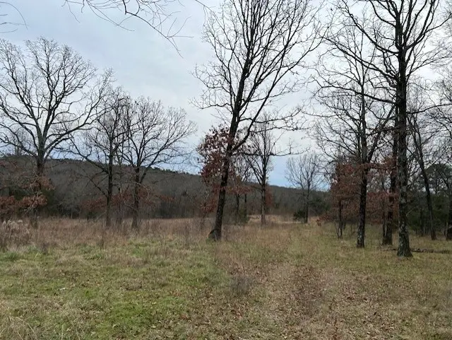 1295 Maple Springs Road, Russellville, AR 72802 - #2