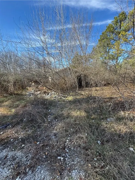 26800 Hwy 65, Western Grove, AR 72685 - Image #2