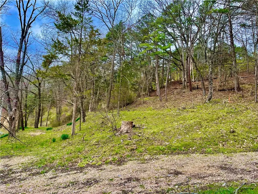 103 Washington, Eureka Springs, AR 72632 - Image #3