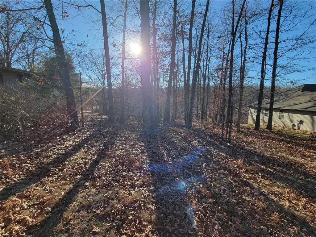 Lot29 Beccles Lane, Bella Vista, AR 72714 - Image #1