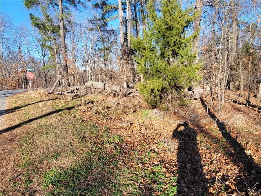 Lot1 Brierfield Lane, Bella Vista, AR 72714 - Image #3