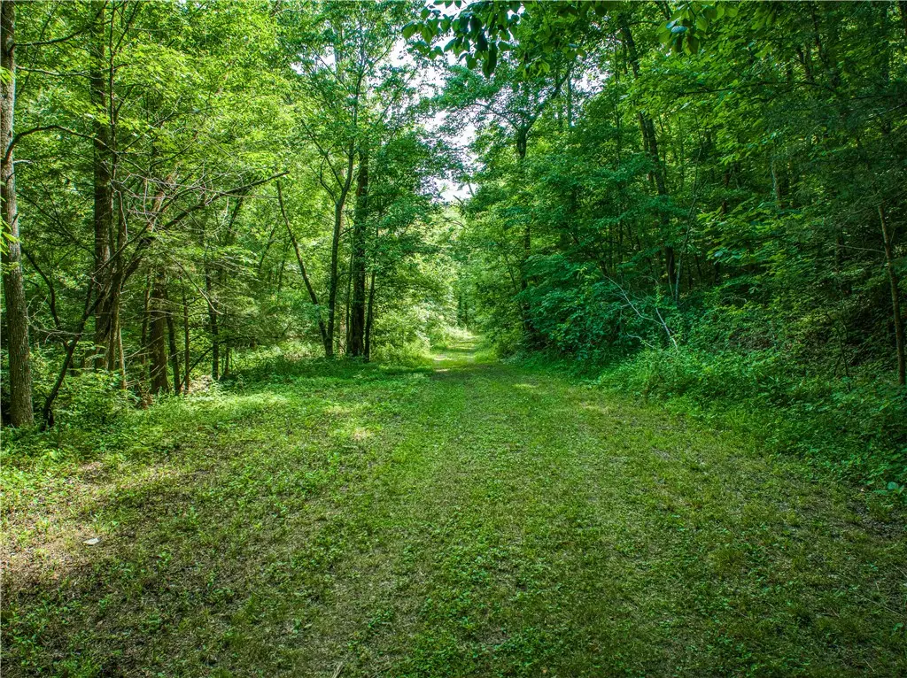 County Road 231, Saint Joe, AR 72675 - Image #1