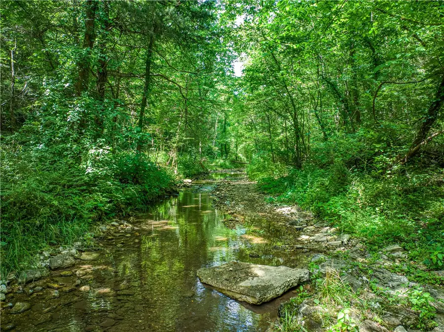 County Road 231, Saint Joe, AR 72675 - Image #2