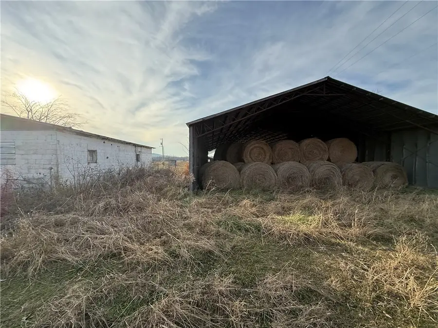 Young Road, Summers, AR 72769 - Image #3