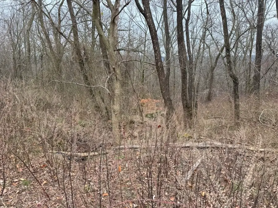 16120 S Highway 45, Canehill, AR 72717 - Image #3