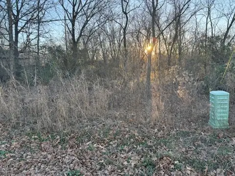 Lot 6 Roessler Lane, Bella Vista, AR 72715 - Image #2