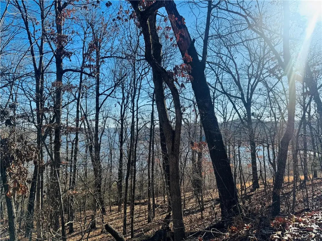 10532 Red Bluff Road, Garfield, AR 72732 - Image #1