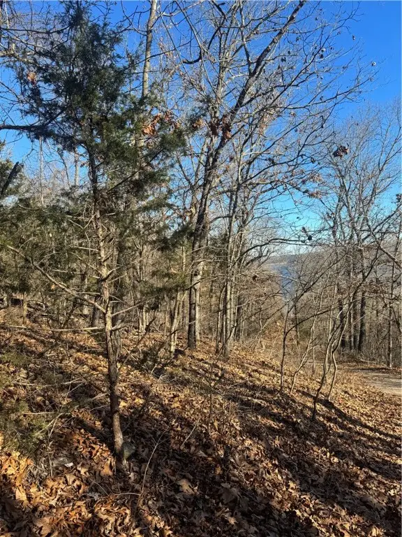 10532 Red Bluff Road, Garfield, AR 72732 - Image #3