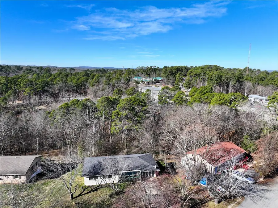 110 Shelton Drive, Eureka Springs, AR 72632 - Image #2