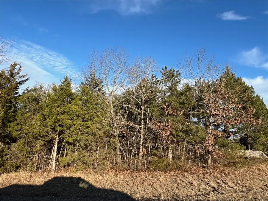 TBD Diamond Boulevard, Diamond City, AR 72630 - Image #2