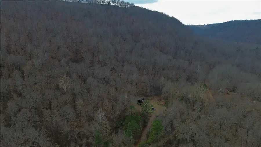 148 Fate Lane, Witts Springs, AR 72686 - Image #2