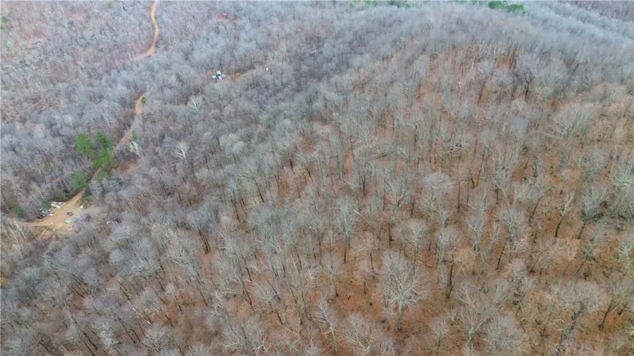 148 Fate Lane, Witts Springs, AR 72686 - Image #3