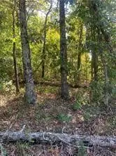 Letchworth Drive, Bella Vista, AR 72714 - Image #1