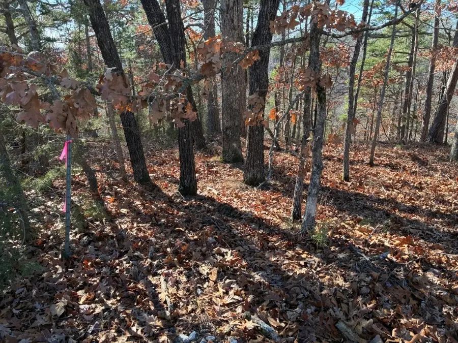 Lot 160 Tanglewood Road, Rogers, AR 72756 - Image #2