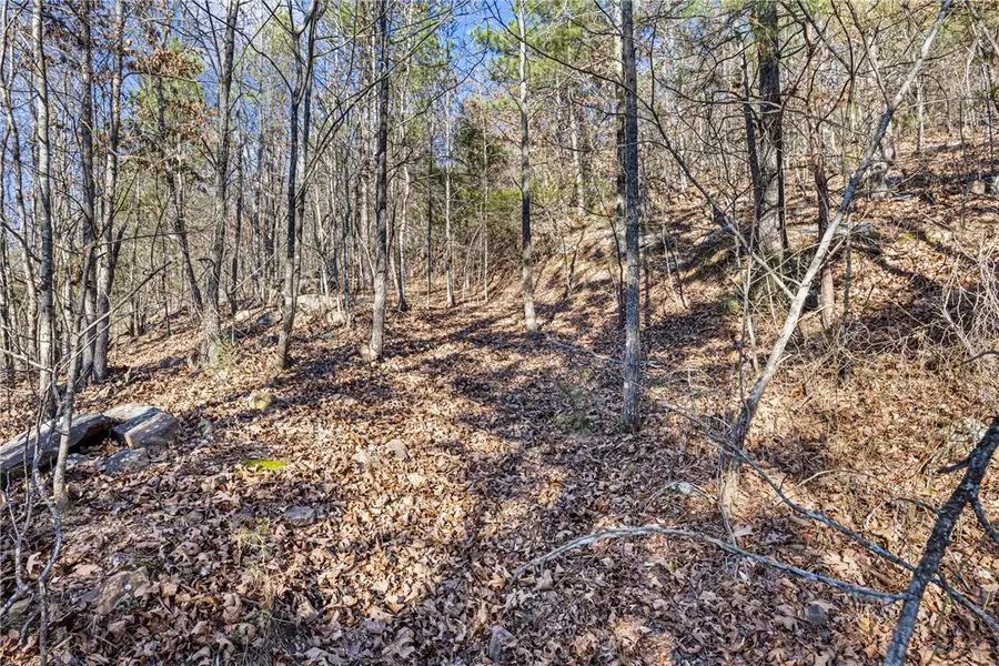 80 acres off of Sr 164 W, Dover, AR 72837 - Image #3