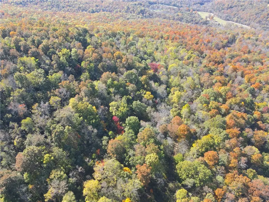 275 Cr-9351, Osage, AR 72638 - Image #2