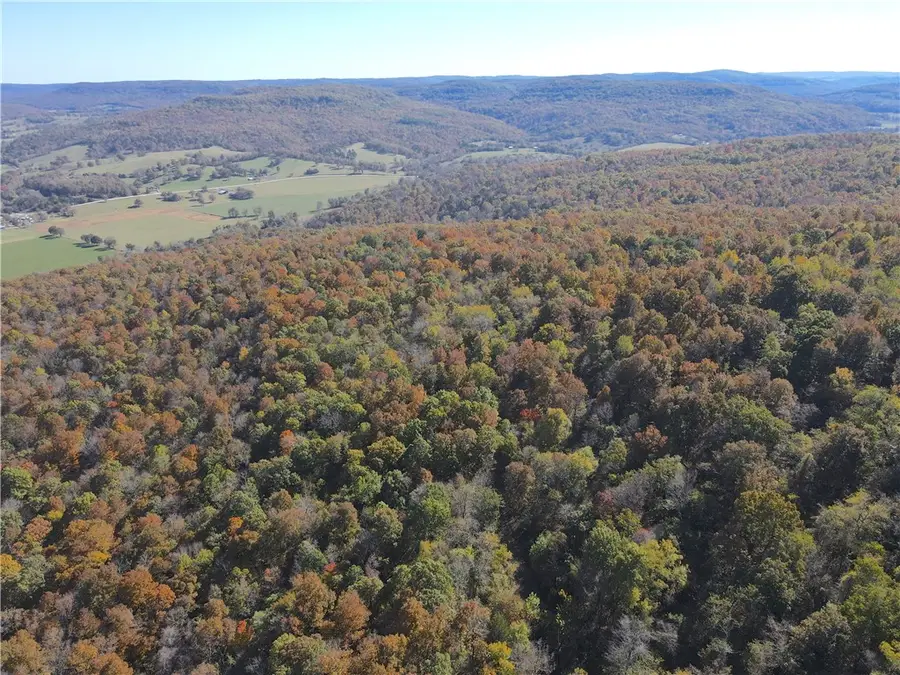 275 Cr-9351, Osage, AR 72638 - Image #3