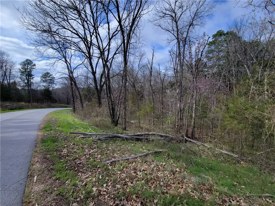 Lot11 Chaucer Drive, Bella Vista, AR 72714 - Image #2
