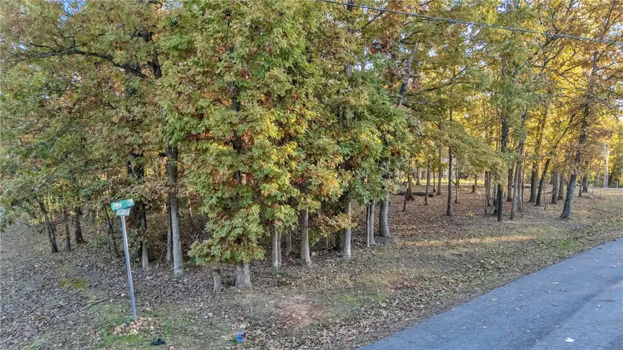 N/A Shetland Jura Circle, Bella Vista, AR 72715 - Image #2