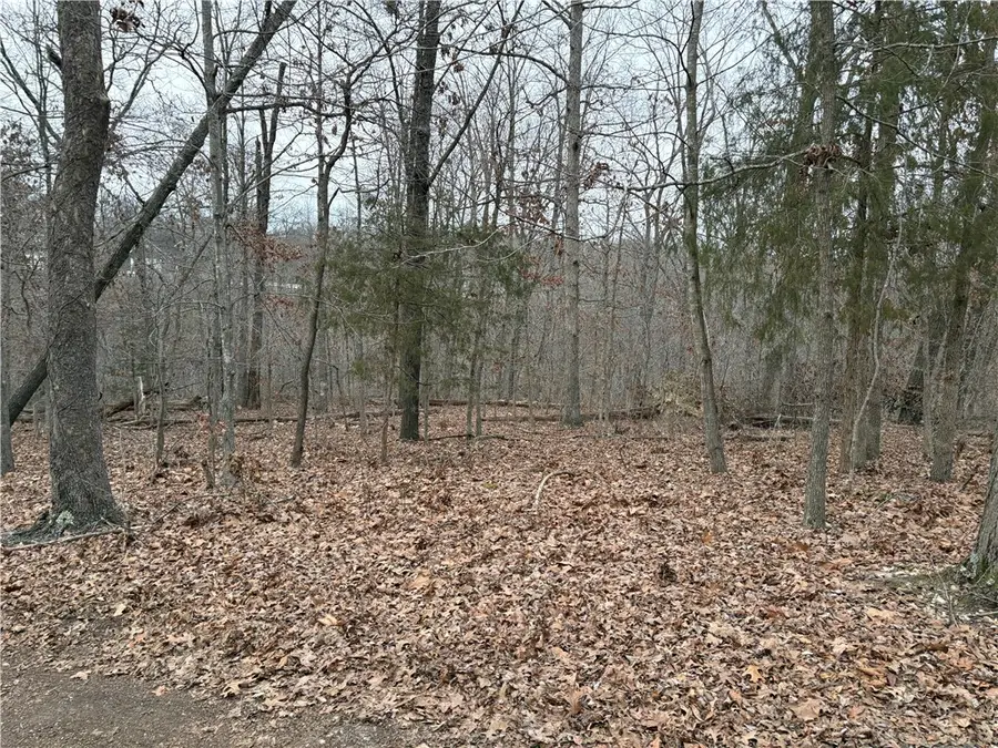 Lasswade Lane, Bella Vista, AR 72715 - Image #3