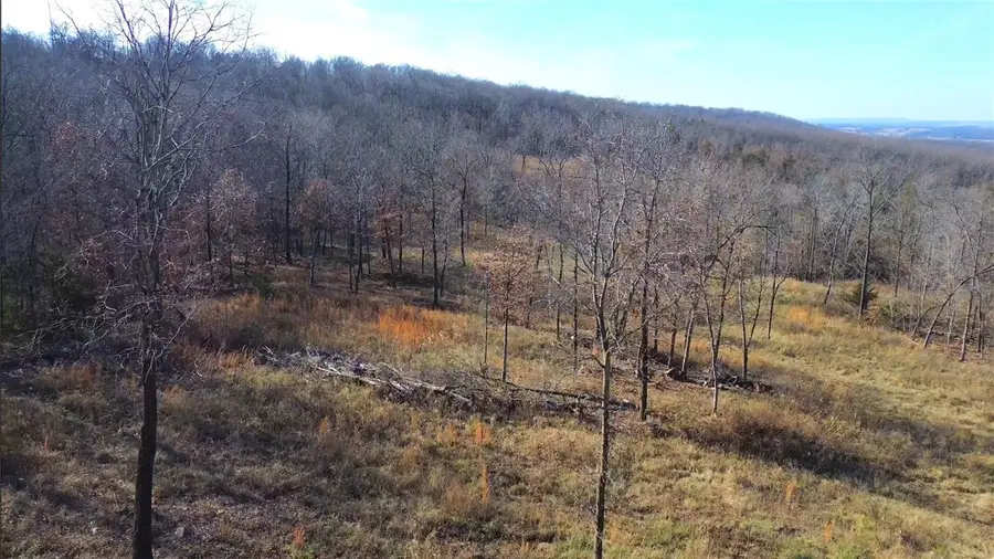 3233 Madison 7325, Hindsville, AR 72738 - Image #2