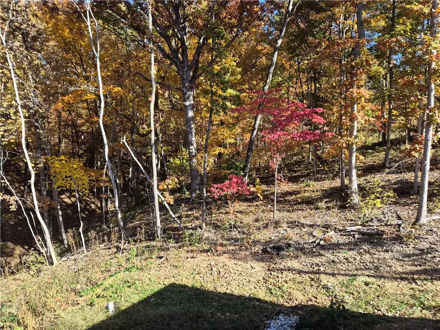 8 Ampthill Lane, Bella Vista, AR 72714 - Image #3