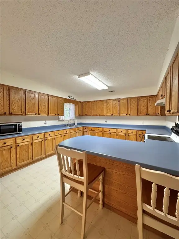 10360 Frog Pond Lane, Dardanelle, AR 72834 - Image #2