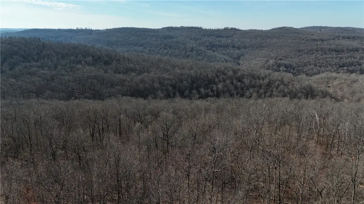 000 Possum Trot Park #ossum To, Compton, AR 72624 - #1