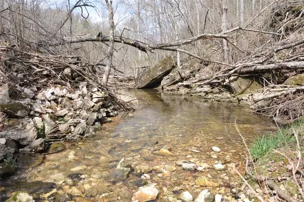 001-00494-003 Tater Knob Lane, Yellville, AR 72687