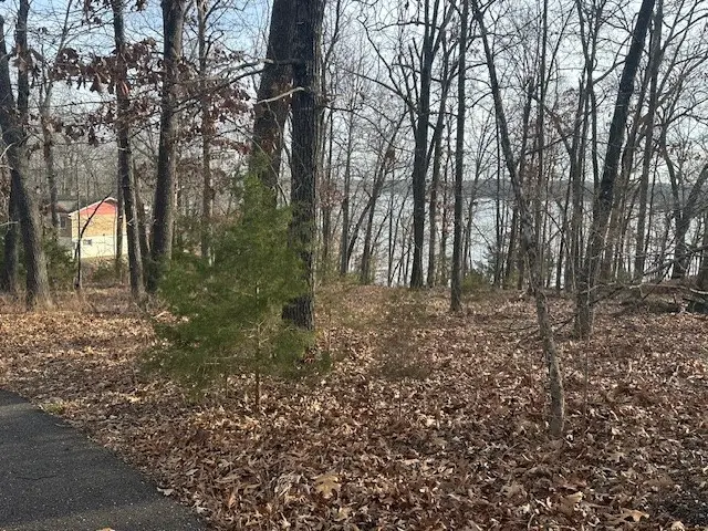 Lakeview Circle, Bull Shoals, AR 72619 - Image #2