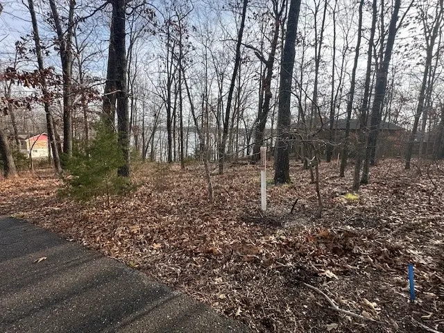 Lakeview Circle, Bull Shoals, AR 72619 - Image #3