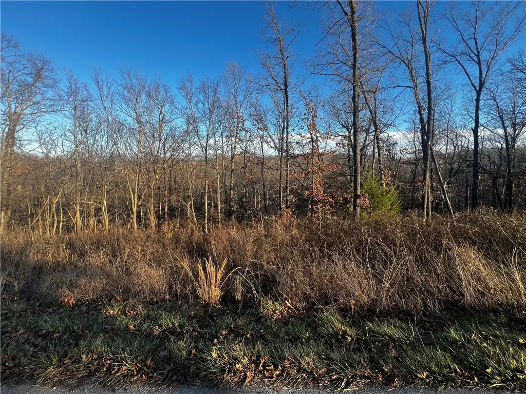 Selkirk Drive, Bella Vista, AR 72715 - #1