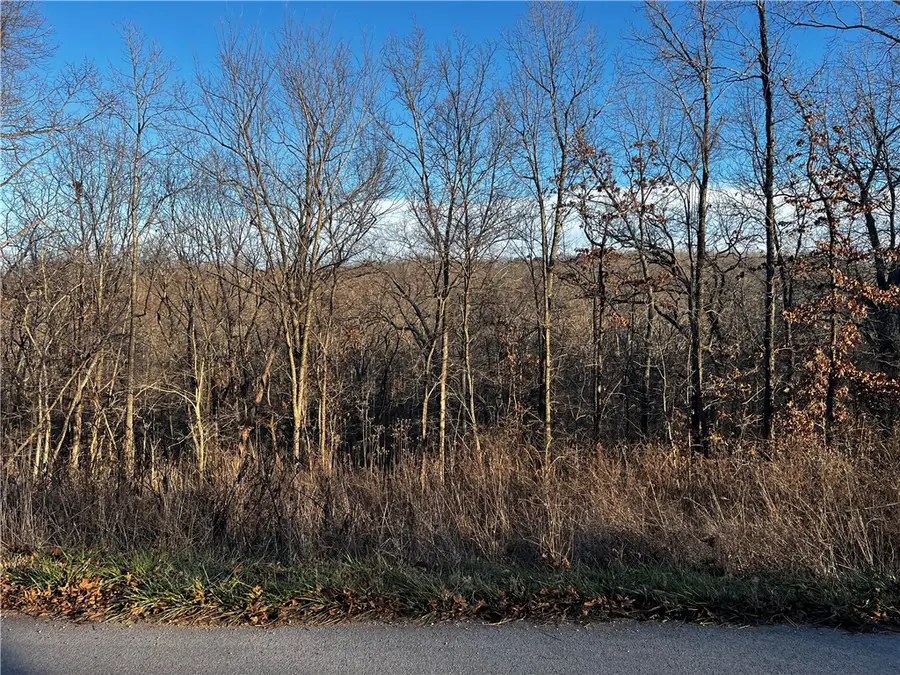 Selkirk Drive, Bella Vista, AR 72715 - #3