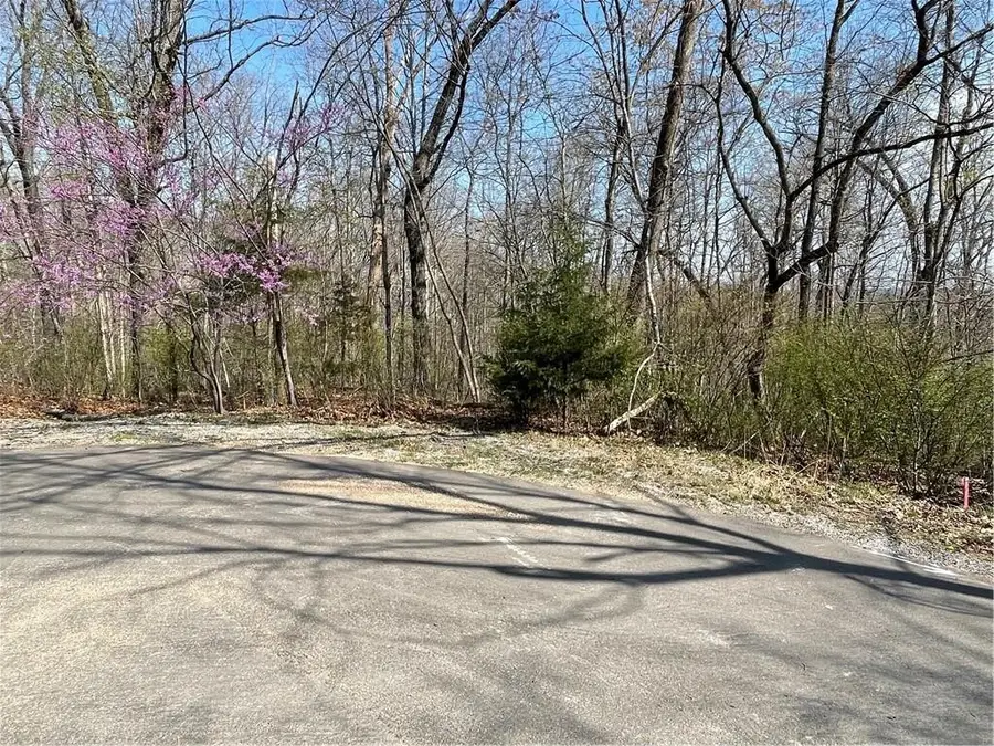 Lot 7 Marlin Lane, Bella Vista, AR 72715 - Image #3