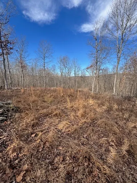 Madison 3175, Witter, AR 72776 - Image #2