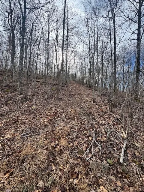 Madison 3175, Witter, AR 72776 - Image #3