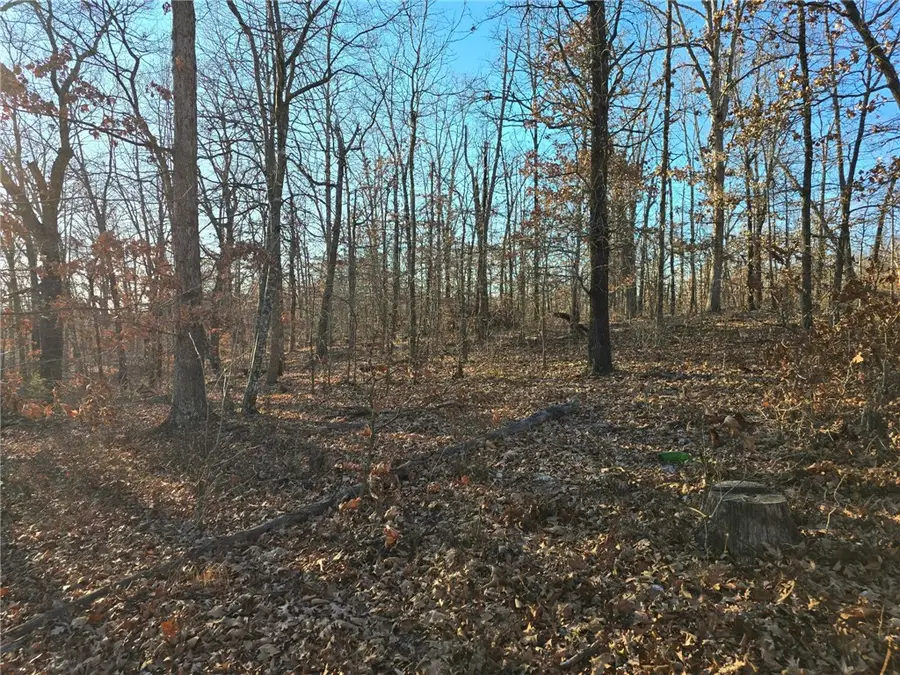 Lot 13 Denver Lane, Bella Vista, AR 72714 - Image #2
