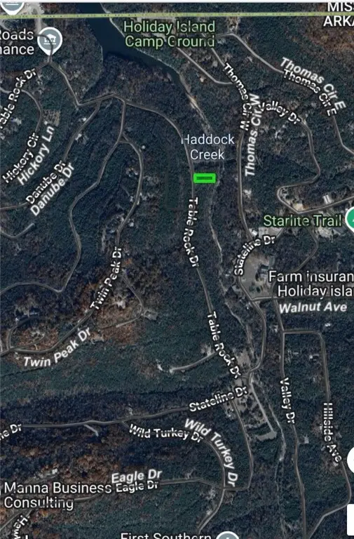 161 Table Rock Drive, Holiday Island, AR 72631 - Image #3