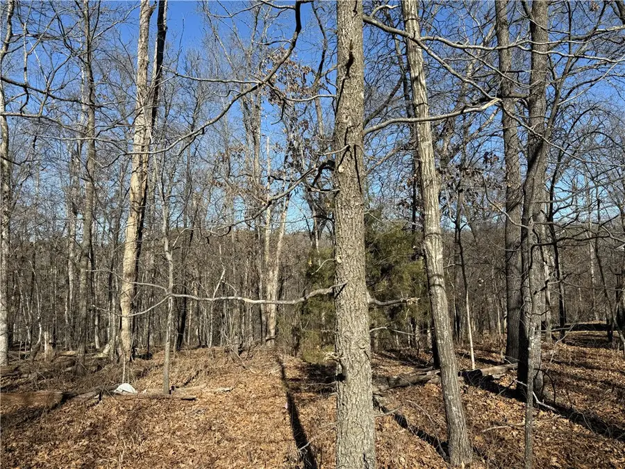 Lot 10 Westbury Drive, Bella Vista, AR 72714 - Image #2