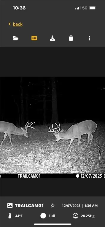 TBD Hwy 23, Huntsville, AR 72740 - Image #3