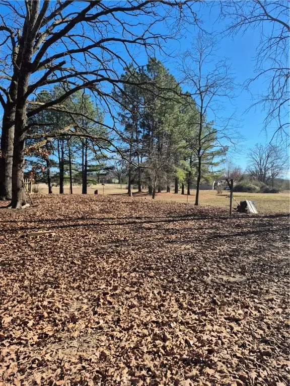 11921 N State Highway 309, Havana, AR 72842 - Image #3