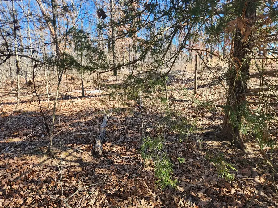 Cress Lane, Bella Vista, AR 72714 - Image #3