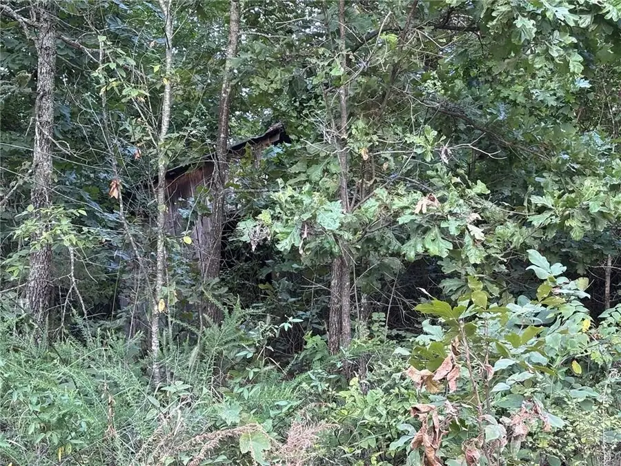 Tract 4B Mc 5056, Everton, AR 72633 - Image #2