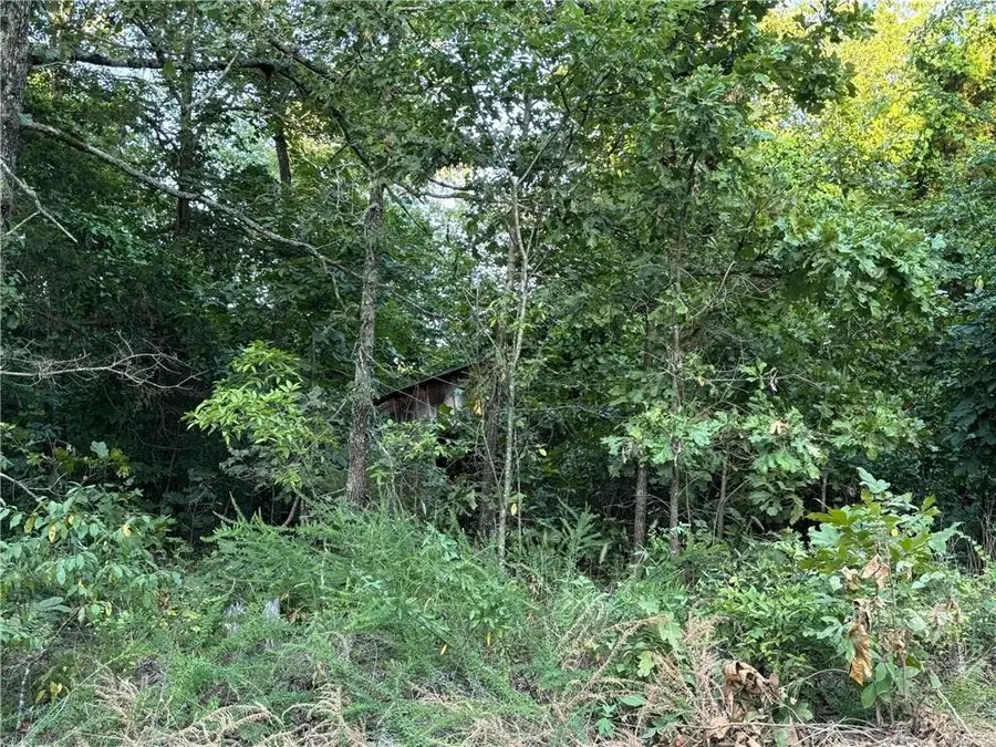 Tract 4B Mc 5056, Everton, AR 72633 - Image #3